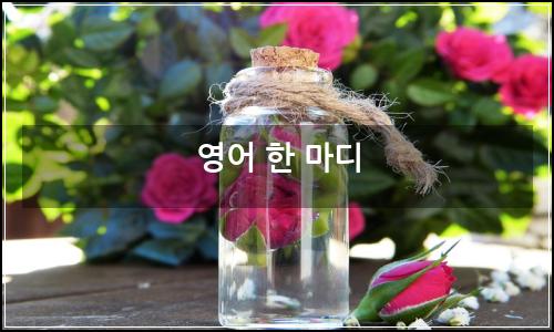 오늘의 이미지