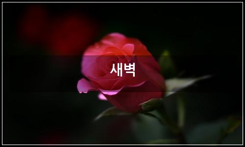 오늘의 이미지