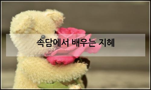 오늘의 이미지