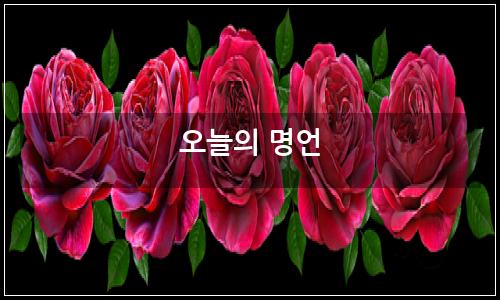 오늘의 이미지