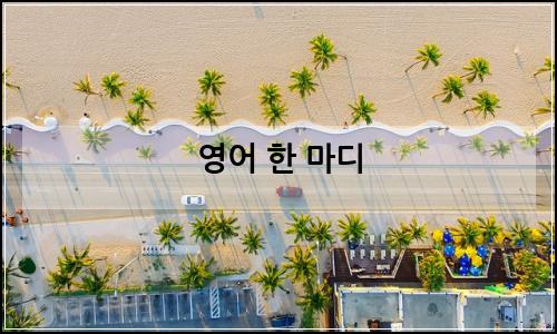 오늘의 이미지