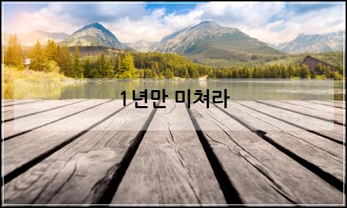 오늘의 이미지