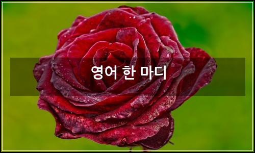 오늘의 이미지