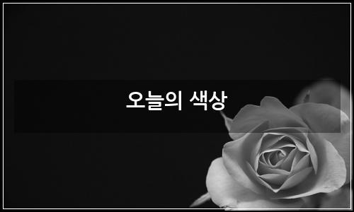 오늘의 이미지