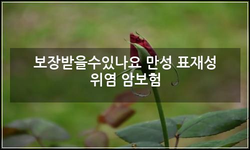 오늘의 이미지