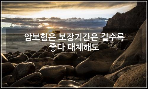오늘의 이미지