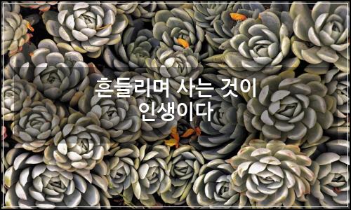 오늘의 이미지