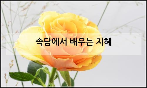 오늘의 이미지