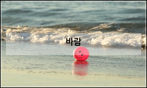 오늘의 이미지