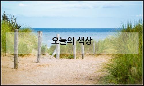 오늘의 이미지