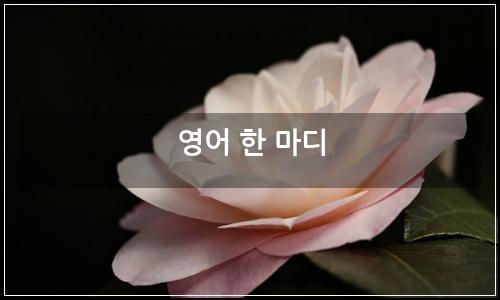 오늘의 이미지