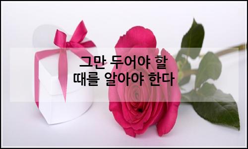 오늘의 이미지