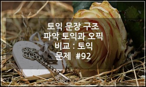 오늘의 이미지