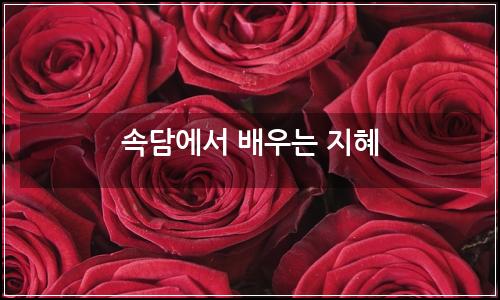 오늘의 이미지