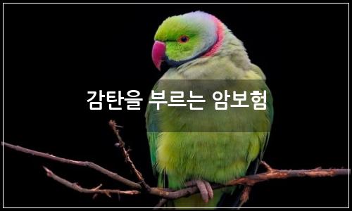 오늘의 이미지