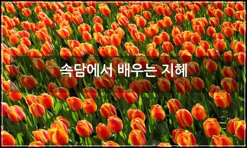 오늘의 이미지