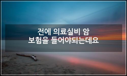 오늘의 이미지