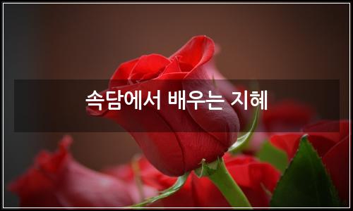 오늘의 이미지