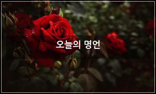 오늘의 이미지