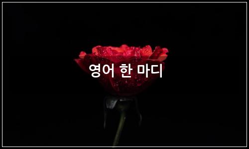 오늘의 이미지