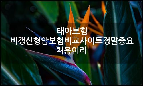 오늘의 이미지