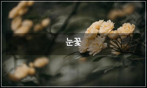 오늘의 이미지