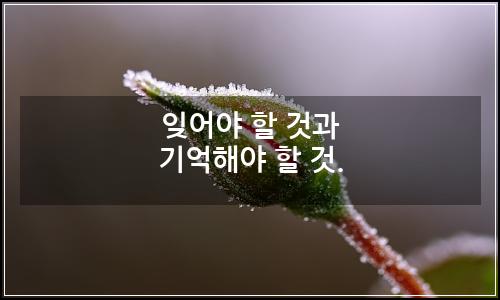 오늘의 이미지