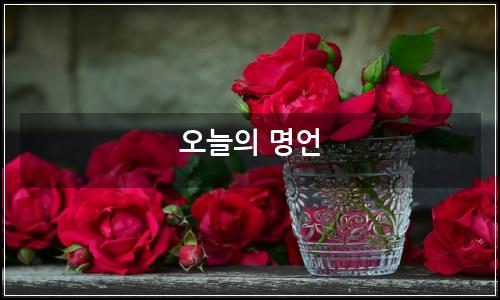 오늘의 이미지