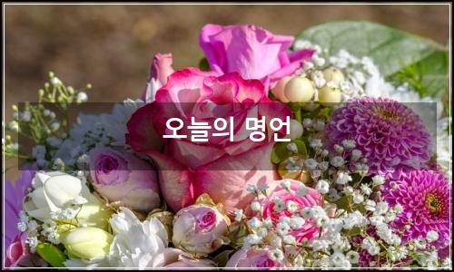 오늘의 이미지