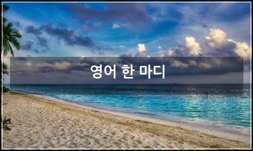오늘의 이미지