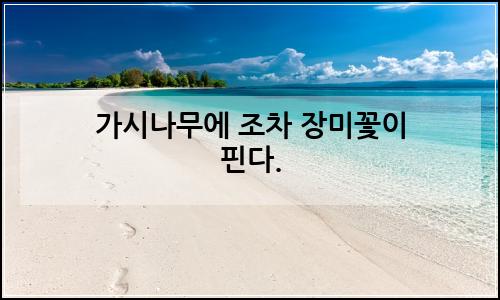 오늘의 이미지