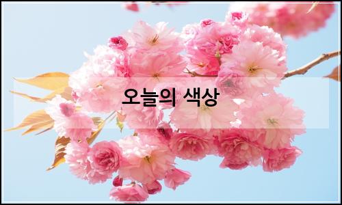 오늘의 이미지