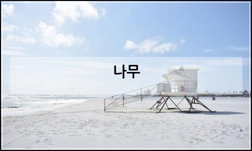 오늘의 이미지