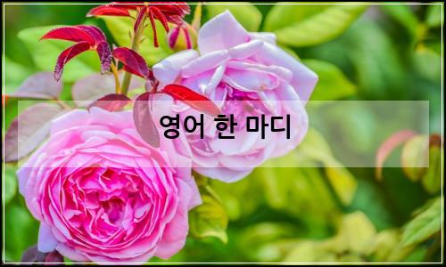 오늘의 이미지