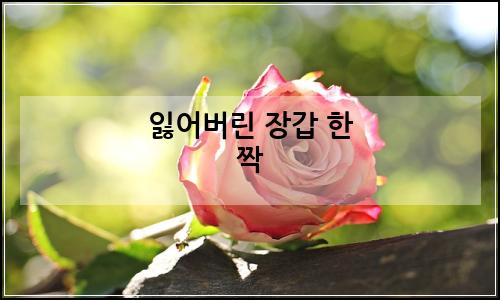 오늘의 이미지
