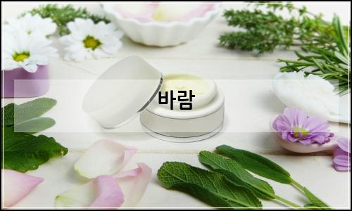오늘의 이미지