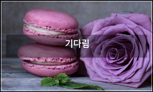 오늘의 이미지
