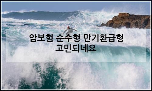 오늘의 이미지