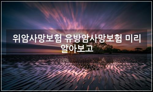 오늘의 이미지