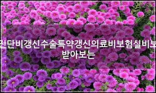 오늘의 이미지