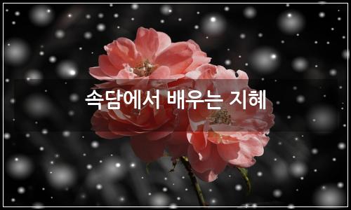 오늘의 이미지