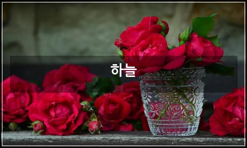 오늘의 이미지