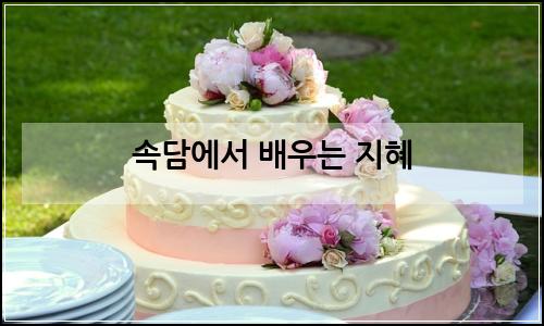 오늘의 이미지