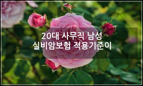 오늘의 이미지