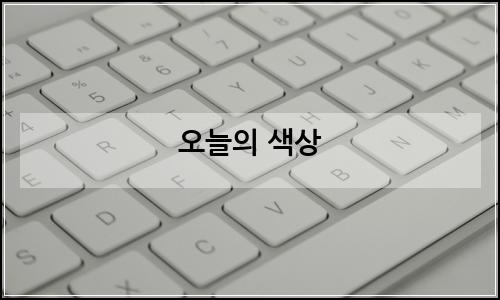 오늘의 이미지