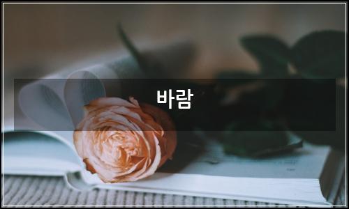 오늘의 이미지