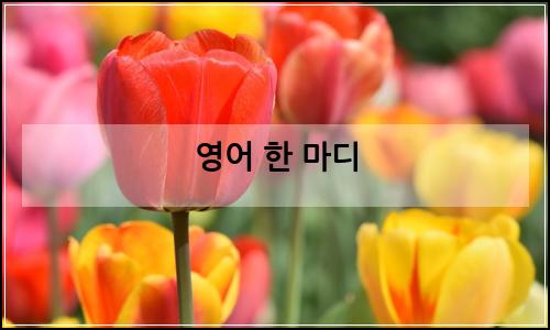 오늘의 이미지
