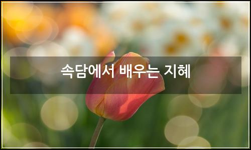 오늘의 이미지