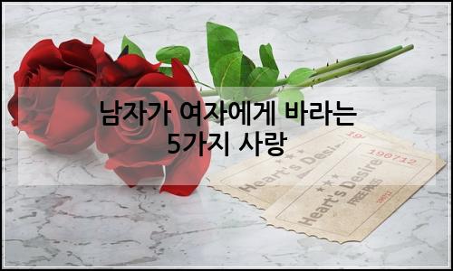 오늘의 이미지