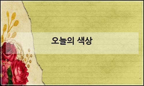 오늘의 이미지